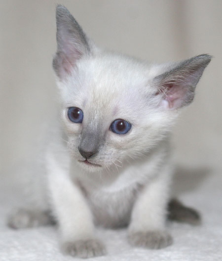 Photo: Carolin Skirl