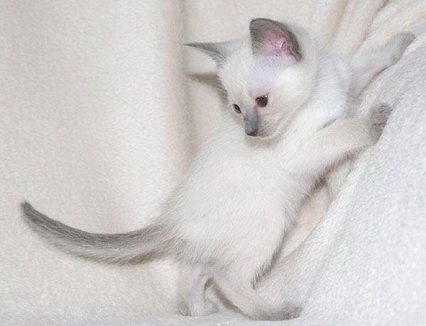 Photo: Carolin Skirl