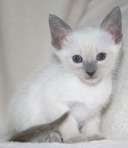 Photo: Carolin Skirl