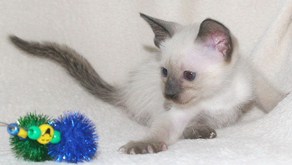 Photo: Carolin Skirl