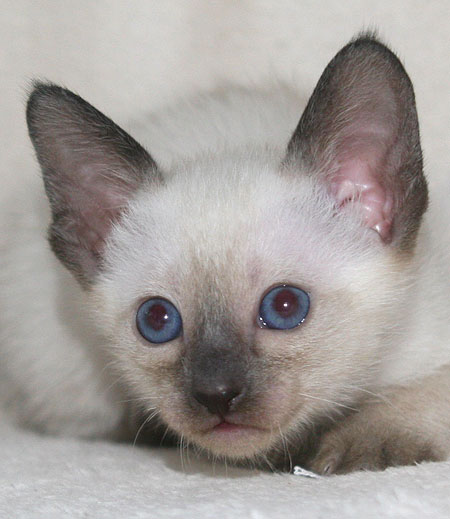 Photo: Carolin Skirl