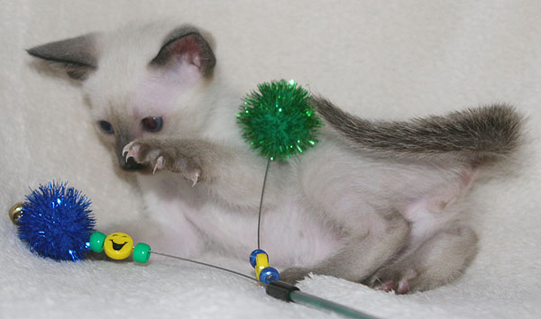 Photo: Carolin Skirl