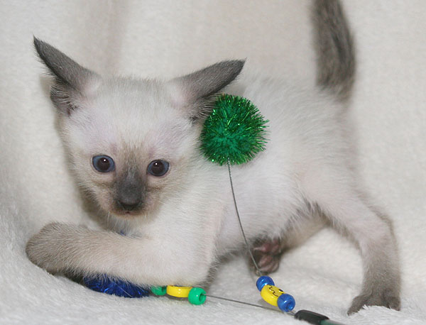 Photo: Carolin Skirl