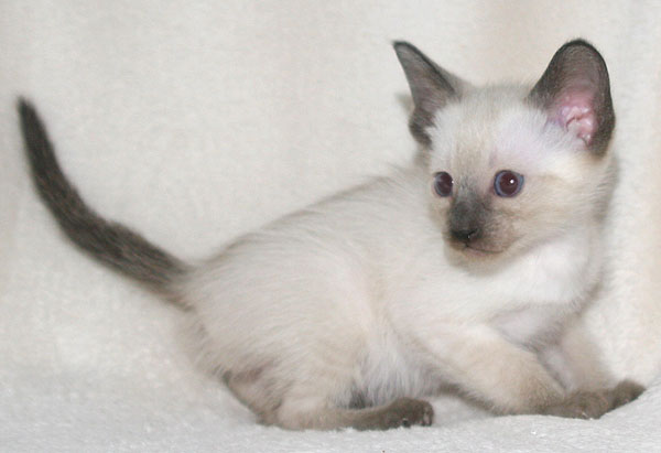 Photo: Carolin Skirl