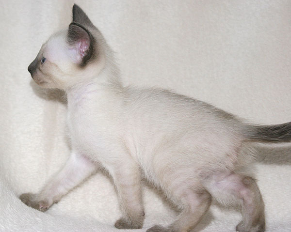 Photo: Carolin Skirl