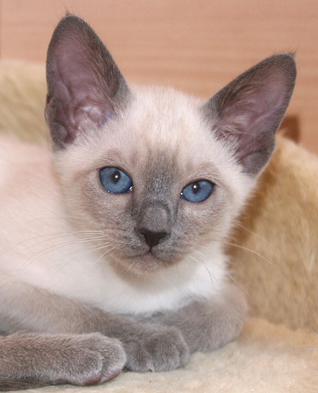 Photo: Carolin Skirl