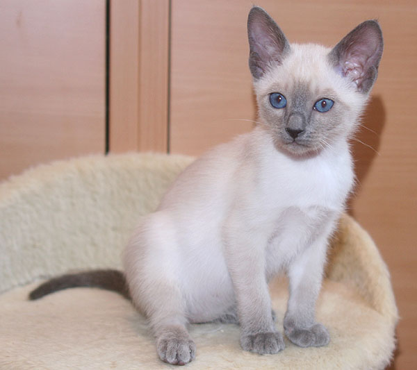 Photo: Carolin Skirl