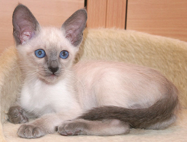 Photo: Carolin Skirl