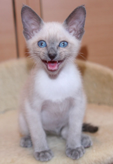 Photo: Carolin Skirl