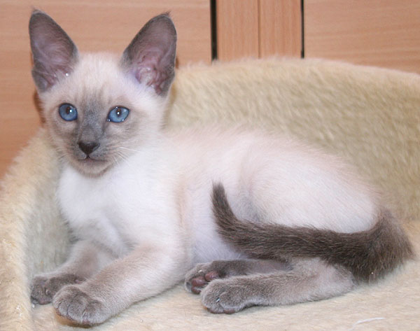 Photo: Carolin Skirl