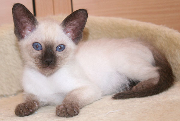 Photo: Carolin Skirl