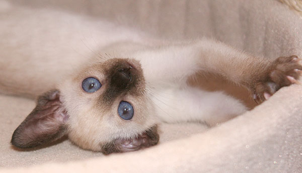 Photo: Carolin Skirl