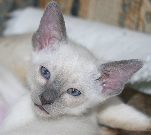 Photo: Carolin Skirl