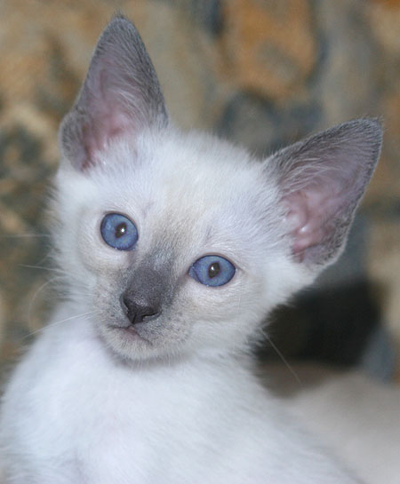 Photo: Carolin Skirl