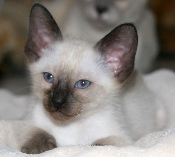 Photo: Carolin Skirl