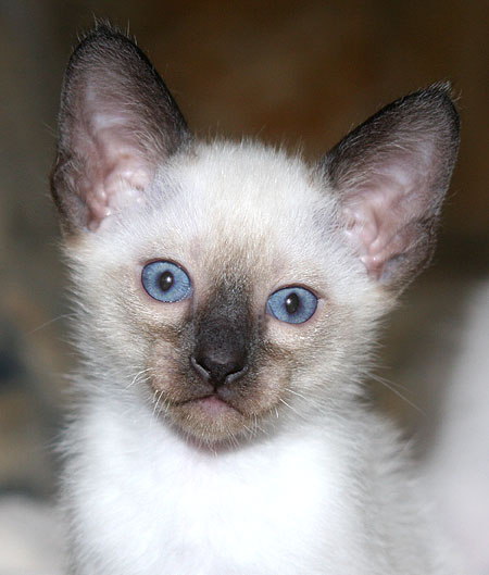 Photo: Carolin Skirl