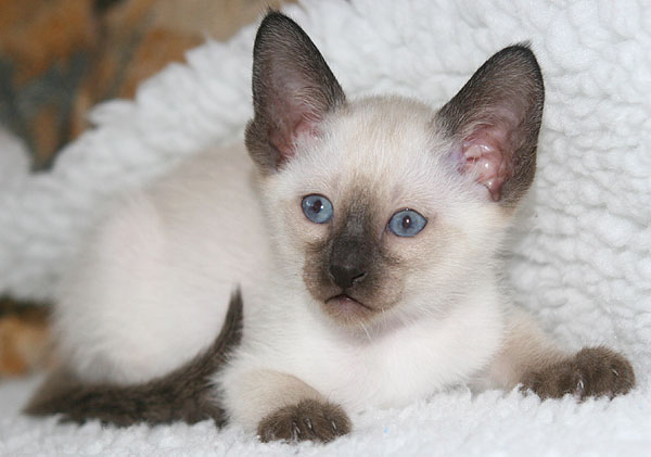 Photo: Carolin Skirl