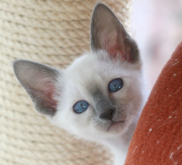 Photo: Carolin Skirl