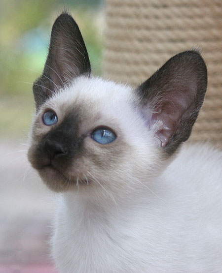 Photo: Carolin Skirl