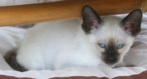 Photo: Carolin Skirl