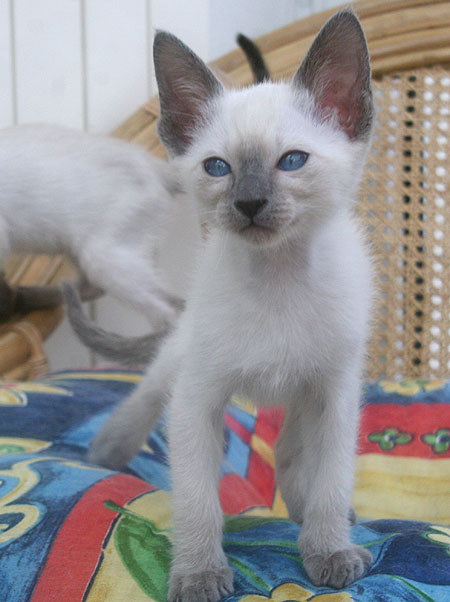 Photo: Carolin Skirl