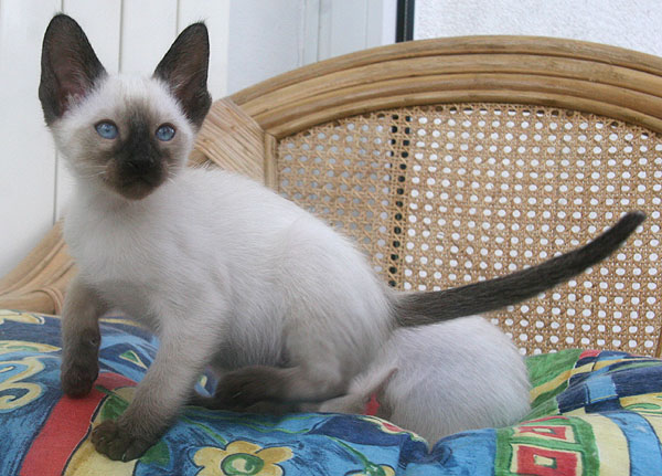 Photo: Carolin Skirl