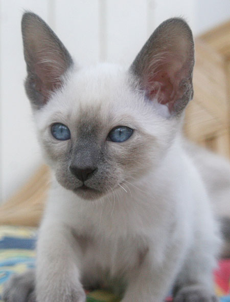 Photo: Carolin Skirl