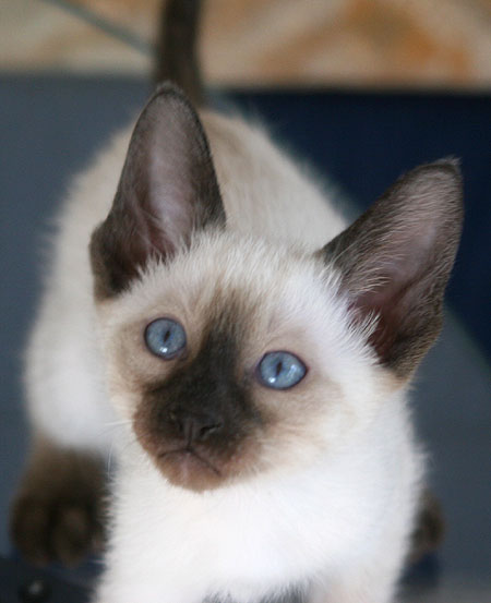 Photo: Carolin Skirl