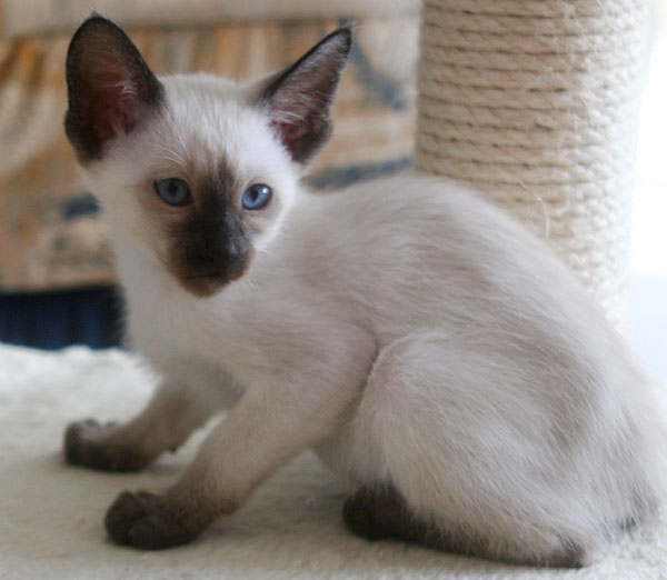 Photo: Carolin Skirl