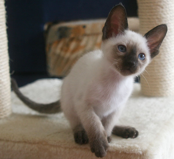 Photo: Carolin Skirl