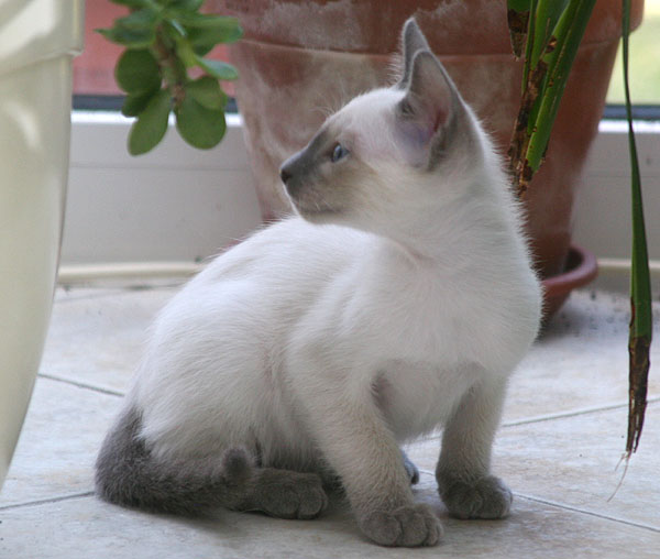 Photo: Carolin Skirl