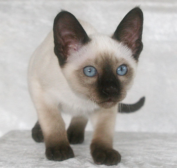 Photo: Carolin Skirl