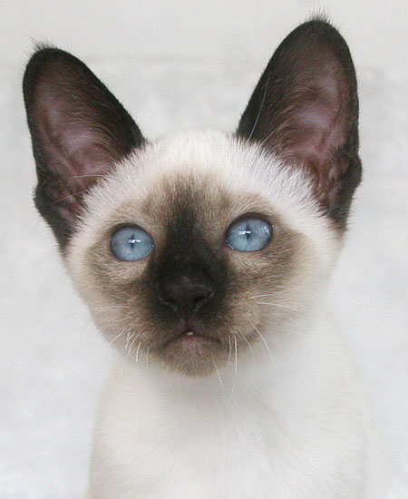 Photo: Carolin Skirl