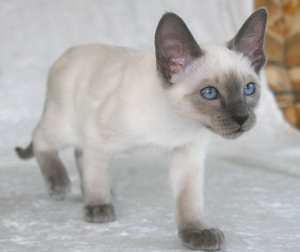 Photo: Carolin Skirl