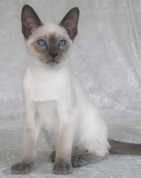 Photo: Carolin Skirl