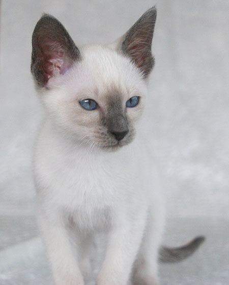 Photo: Carolin Skirl