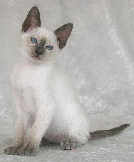 Photo: Carolin Skirl