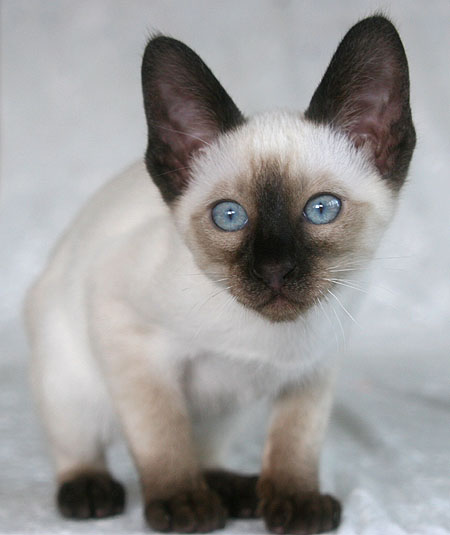 Photo: Carolin Skirl