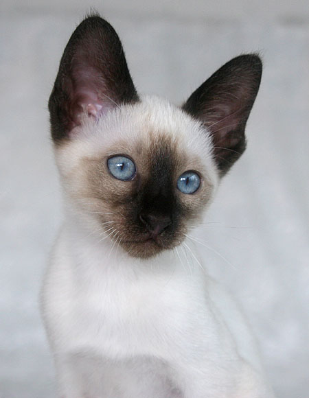 Photo: Carolin Skirl