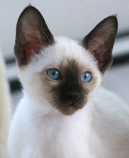 Photo: Carolin Skirl