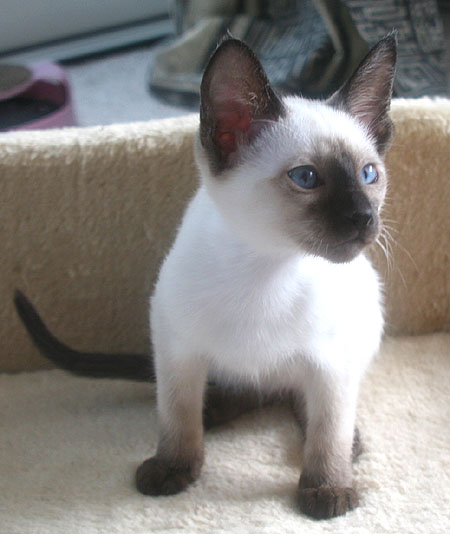 Photo: Carolin Skirl