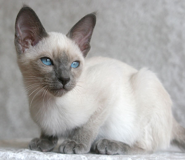 Photo: Carolin Skirl