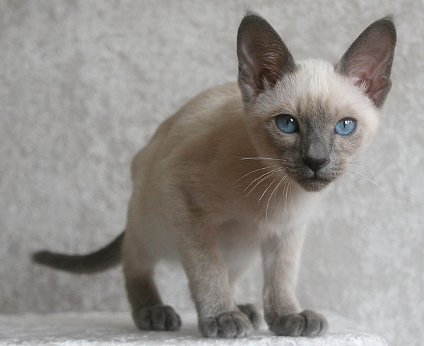 Photo: Carolin Skirl