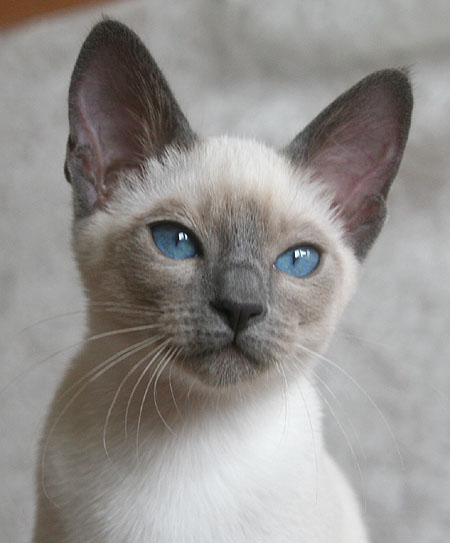 Photo: Carolin Skirl