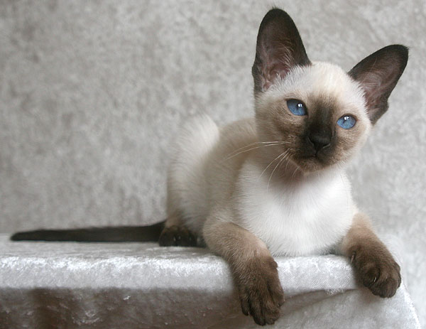 Photo: Carolin Skirl