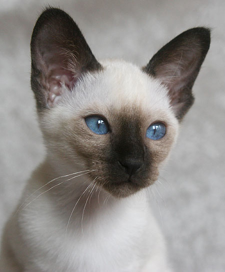 Photo: Carolin Skirl