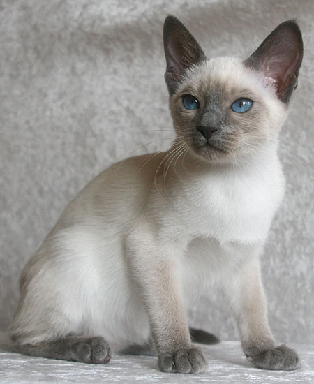 Photo: Carolin Skirl