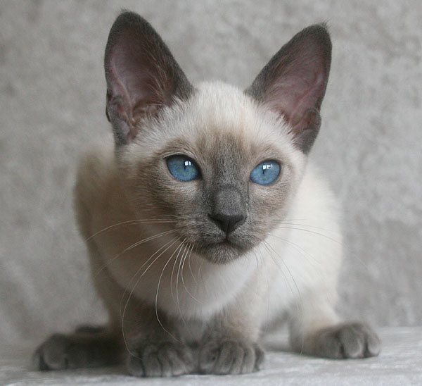 Photo: Carolin Skirl