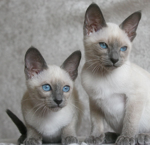 Photo: Carolin Skirl