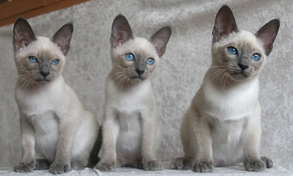 Photo: Carolin Skirl